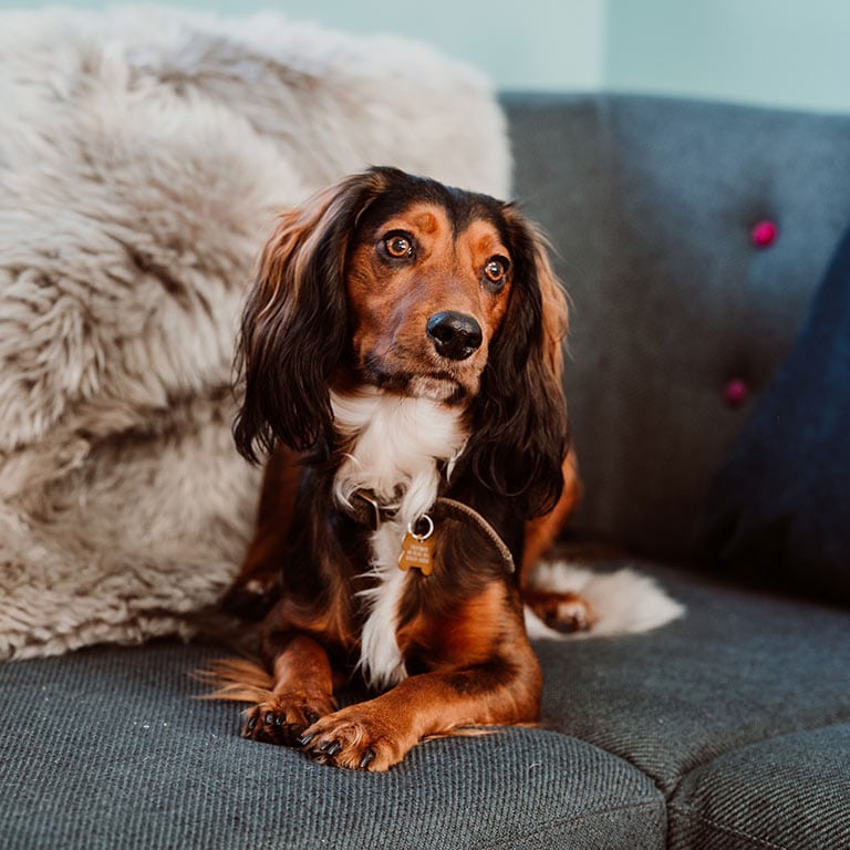 Cube Marketing - About Us