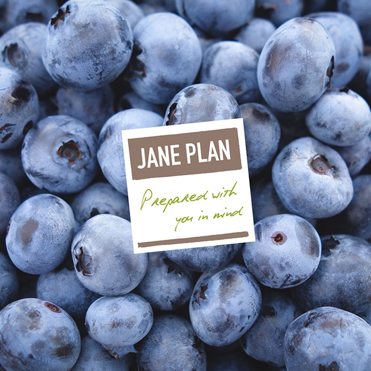 Jane Plan Case Study